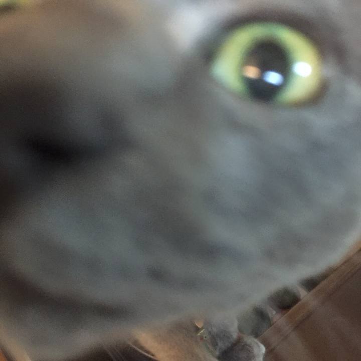 813fabc2 bb8c 4915 950e 9956c8d6d6ab 1523847674649