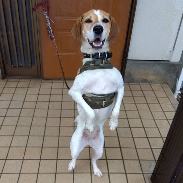 813fc173 5284 439f ab6e 09fdd7bdbc3b 1687924138688