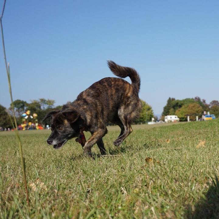 813fd5a3 a0ef 401e b11b 6afd72663ab1 1510922059010