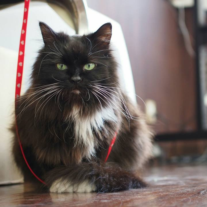 813fef49 a3f2 475f 8842 8eabf586eeae 1524394568712