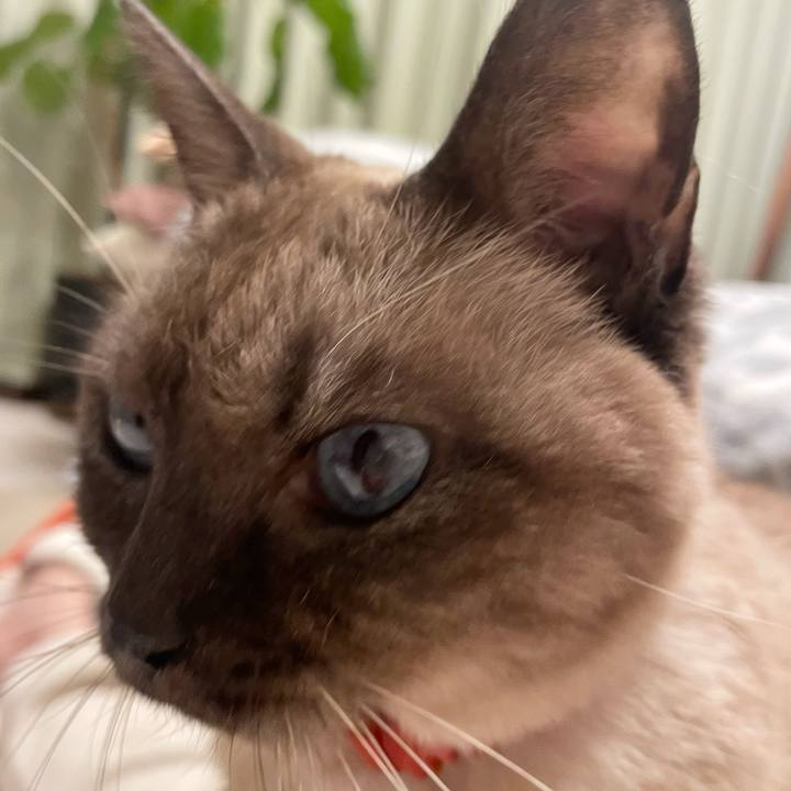 814058ea ab31 4bc3 9494 82b11e216e3a 1768987266176