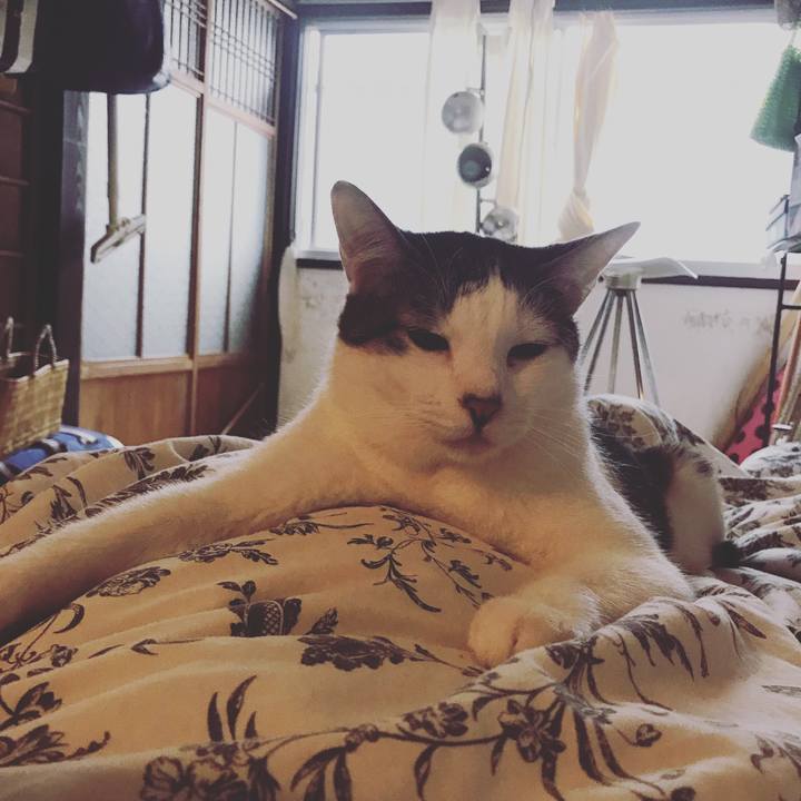 81407cbf 924d 4c34 88fb 367e1e19fade 1540288919900