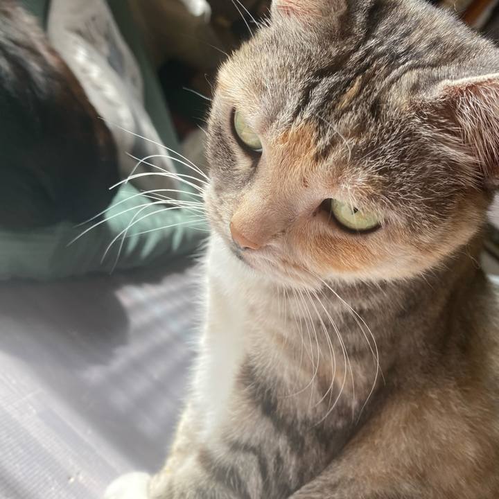 8140bdf0 2658 4a5d ad7f 039e44db92aa 1614998801544