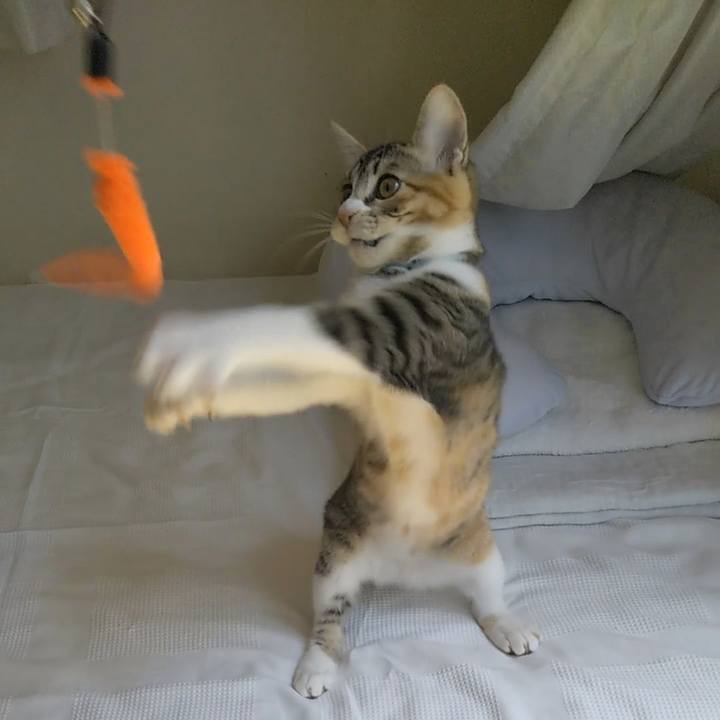 8140f823 8d5c 46fe 875f 40f6da8ea263 1630030403364