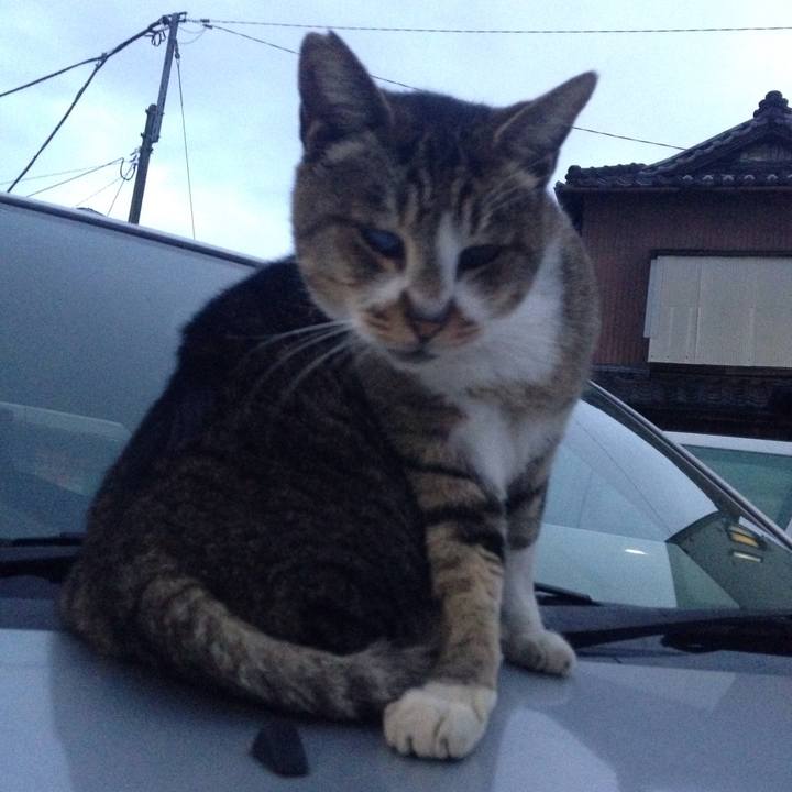 8140f99a 493b 4a01 9cf2 a1888d908ca8 1508232551712