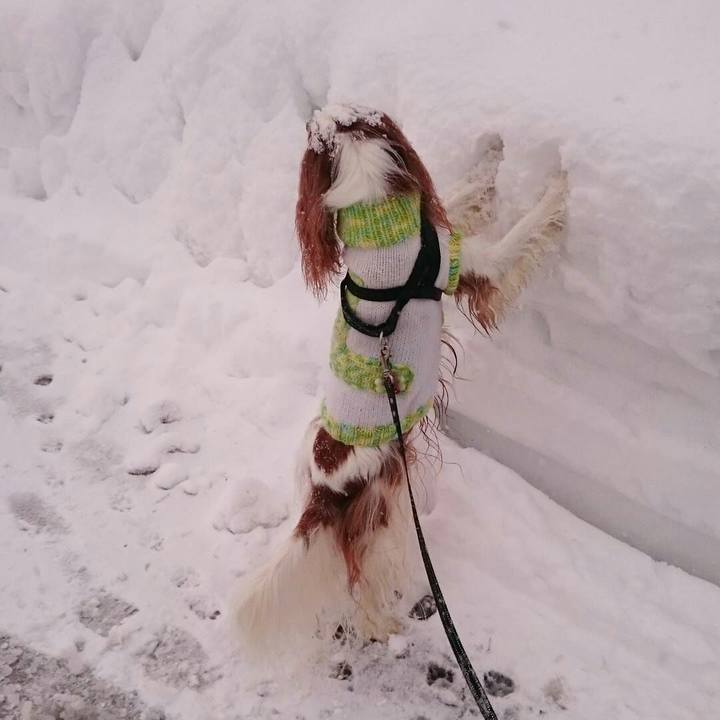 81415c7e 8197 4f59 9680 365ce45224b5 1515711697016