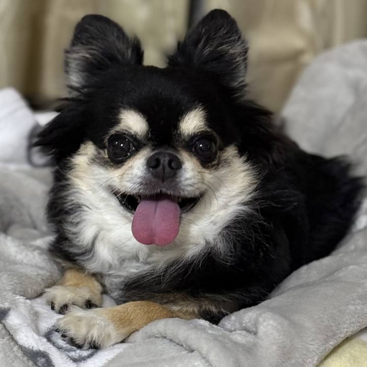 81415eca 18c3 4b0a 81d5 dcd768b96f95 1758756814291