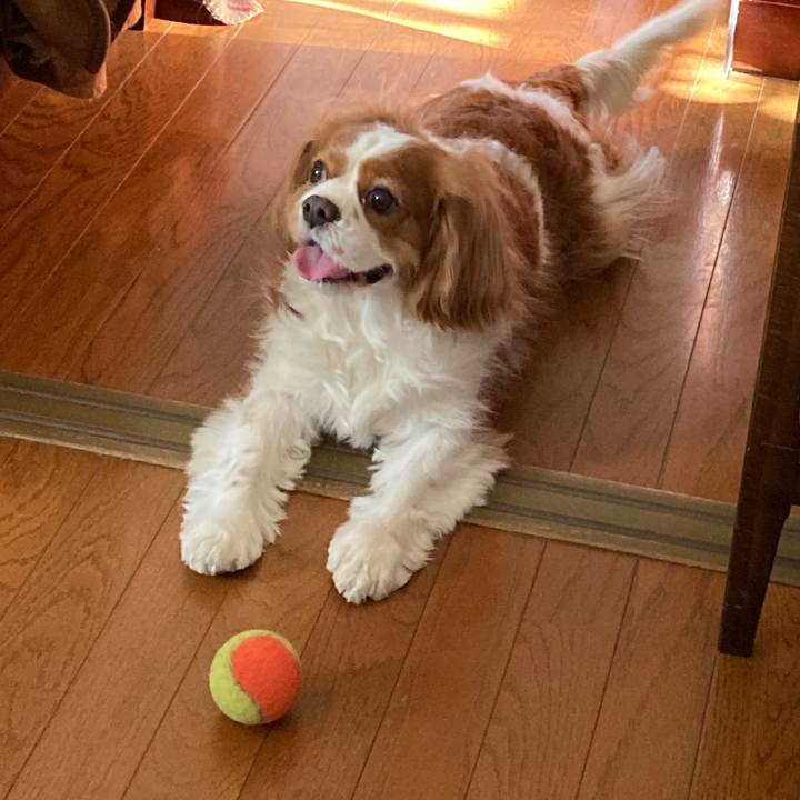 81416eef 26d1 4397 9f5b 2d71aa95eca2 1735893031177