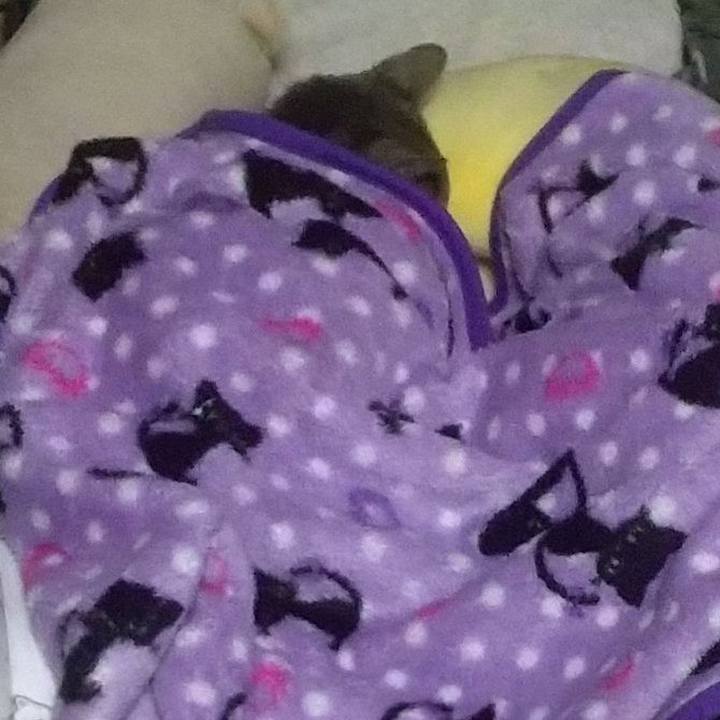 81417c2d 8005 453a 9a98 bc5dbbd47139 1699862973417