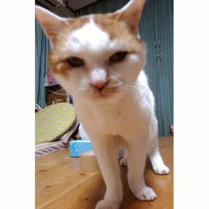 81417f65 d4d3 4322 9b58 223417358e3f 1544105773669