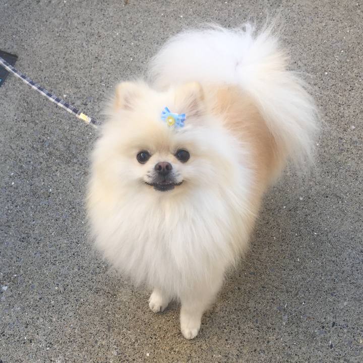 8141fede 4ea3 4b85 b18a fae2fffcc526 1542948032902