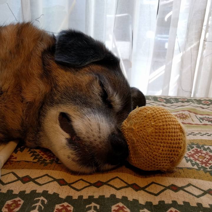 81428543 9002 40eb 8381 58fae68df2a1 1522104363023