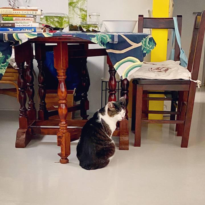 81428c54 d026 4f9d bcd1 c7b56c940eed 1597304136362