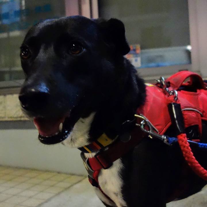 8142a905 15c2 48da bd70 e7764b01f572 1602412210562