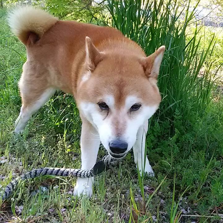 8142d391 946c 458b 92df 6713e5ea7006 1681515039216