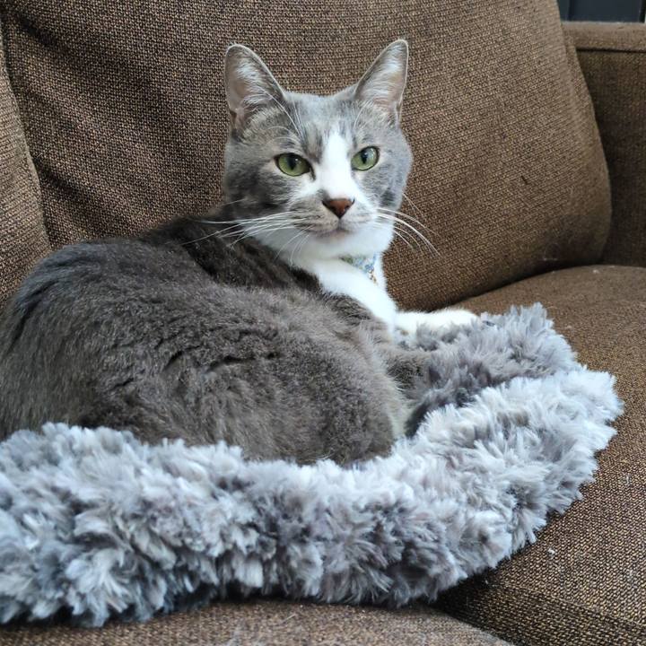 814310fc a5a0 4898 9c73 fb4230e9f15d 1731294349657