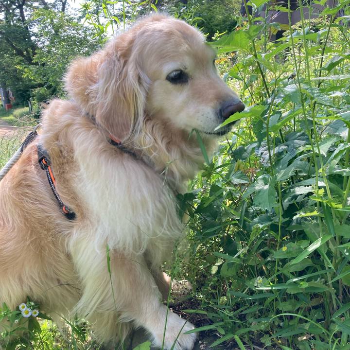 81434f69 8ae7 4312 98e8 d62bb654c6f0 1685606090738