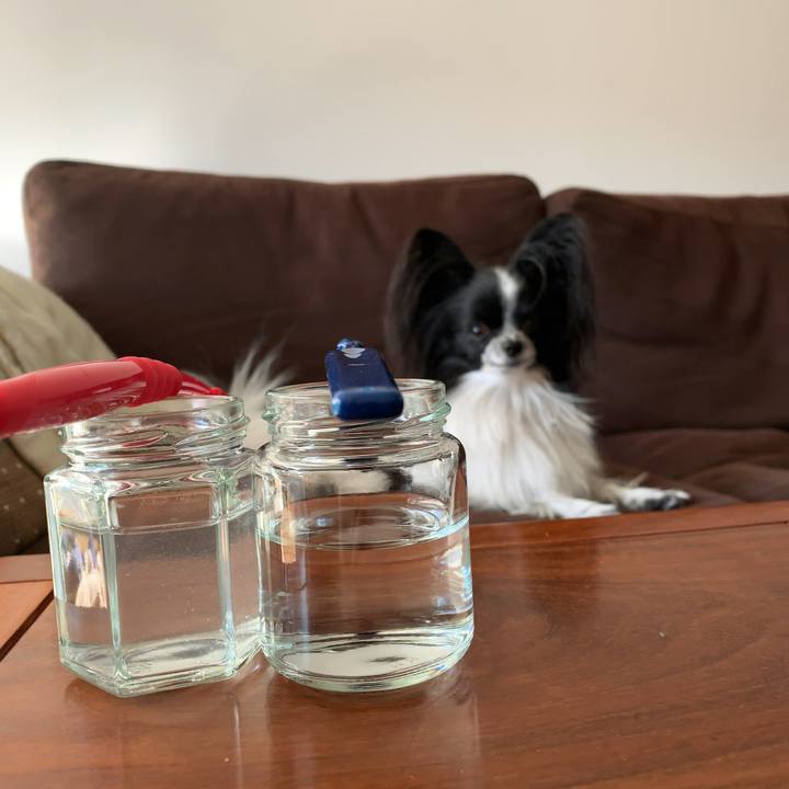 81438da5 c22c 4536 ac37 6977f58eb88a 1542758879509