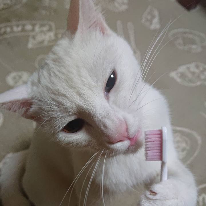 8143abbb a5e1 4617 a437 f3399f9acf74 1582731560508