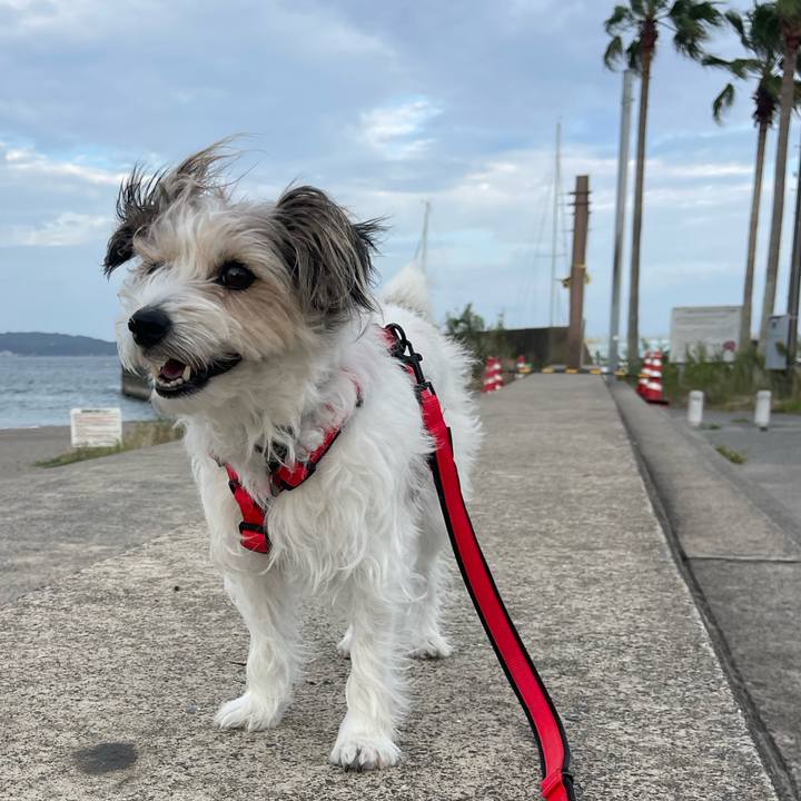 8143d4ea 19bd 48d6 aba2 e4e1b0e2027d 1758271161048