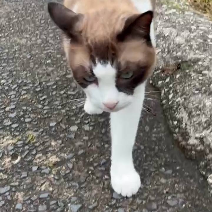 8143e68b 5fef 430a 89c0 840aef0c1b80 1754877573670