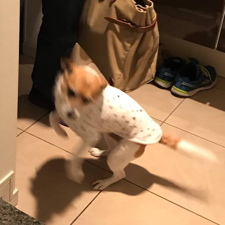 81443145 0844 4444 9310 db404fa5f97b 1553518735162