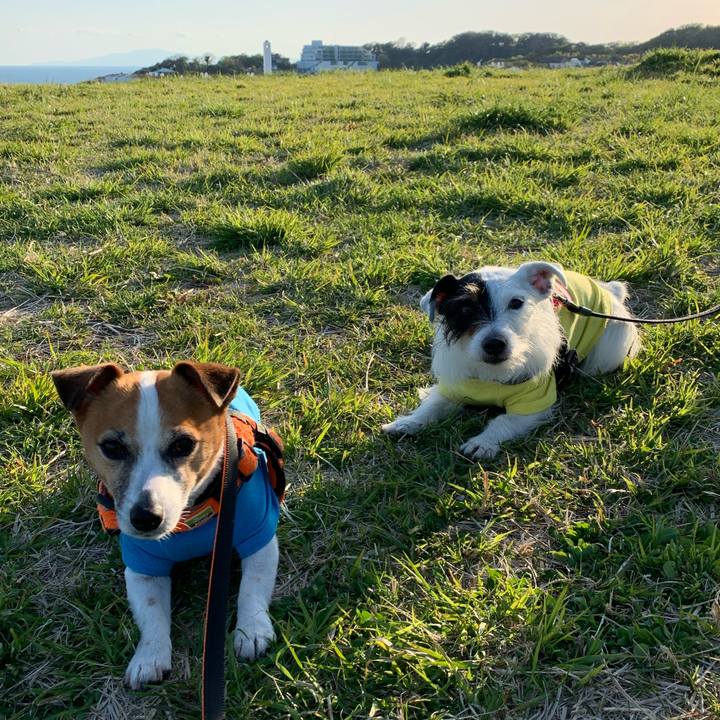 81445343 41d1 4e96 9594 7465f6885bdd 1586856941192