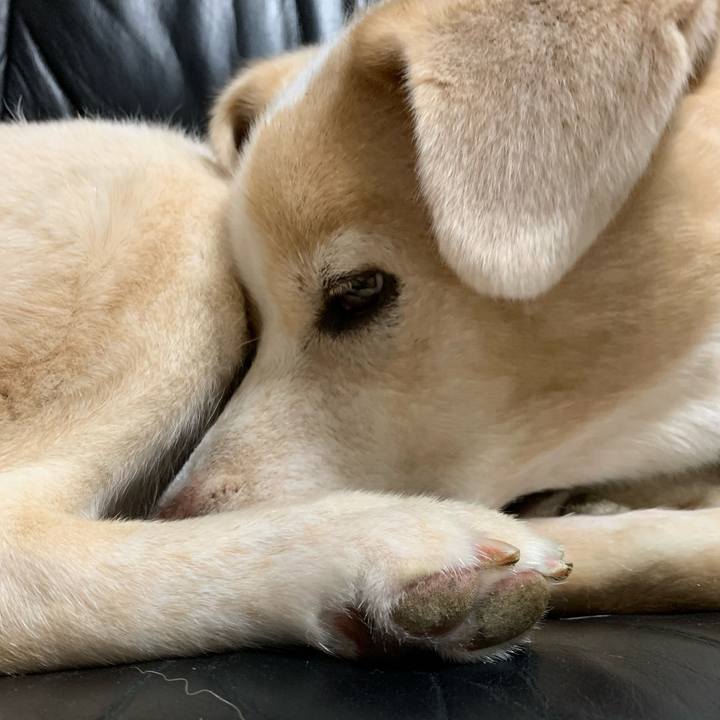 814457ee e9a1 448c 886c d4022947aa83 1600944848343