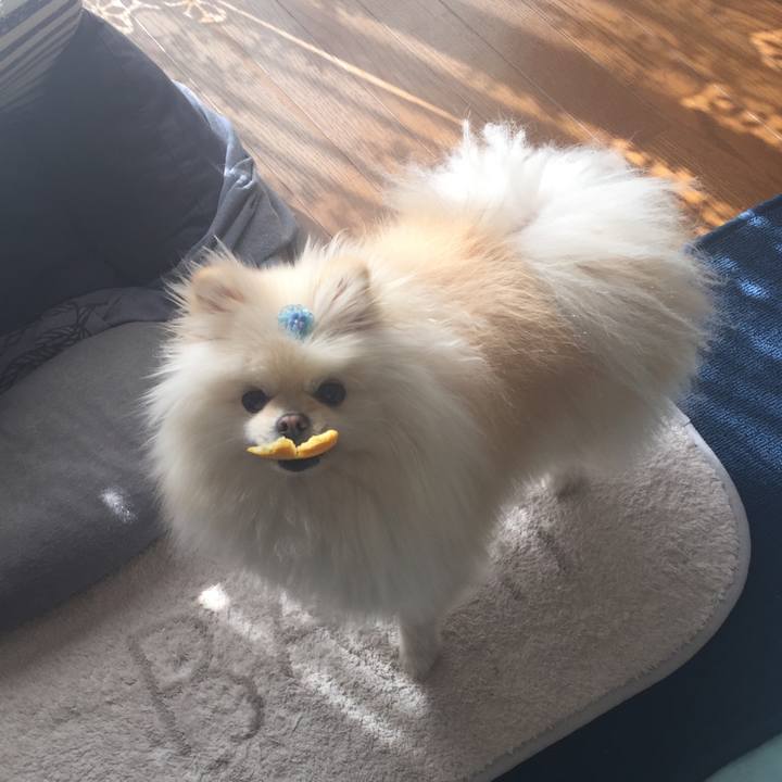 8144b70f c03b 4ecf 9742 c6865adf787b 1550292375432