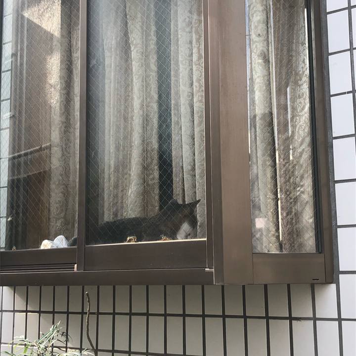 8144c374 94da 475e b18d c8dd88939bf6 1590479654852