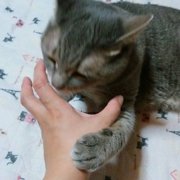 8144cd45 e5d3 4311 8b84 8735acaf812e 1570451703768