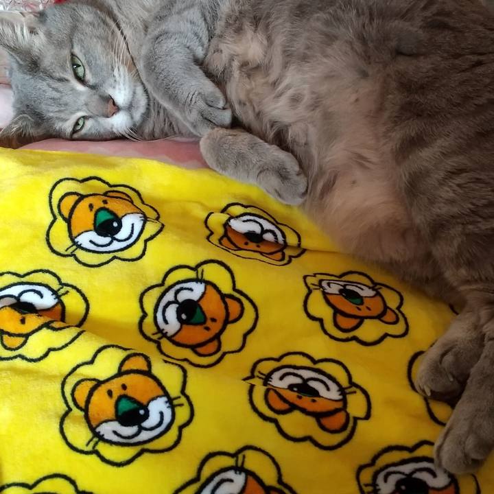 8144d6f6 9592 4c2b 93b8 65263bc870df 1638433554705