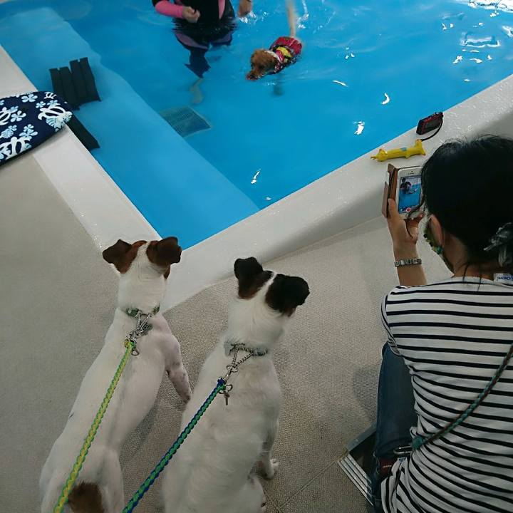 8144f4c2 a147 482a 81f4 d6e1bff3faf9 1593064502479