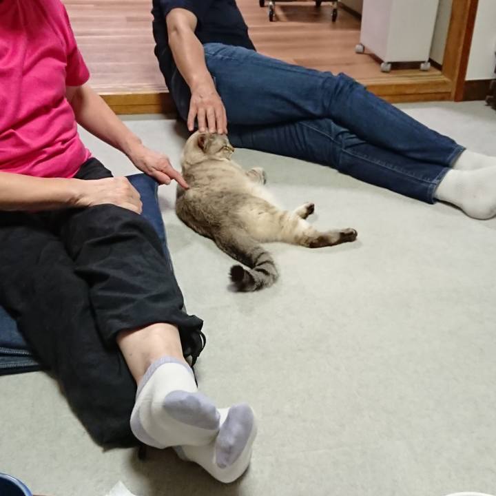 814517eb 94e5 47db a75a 2ec69ff18c9f 1597148040644