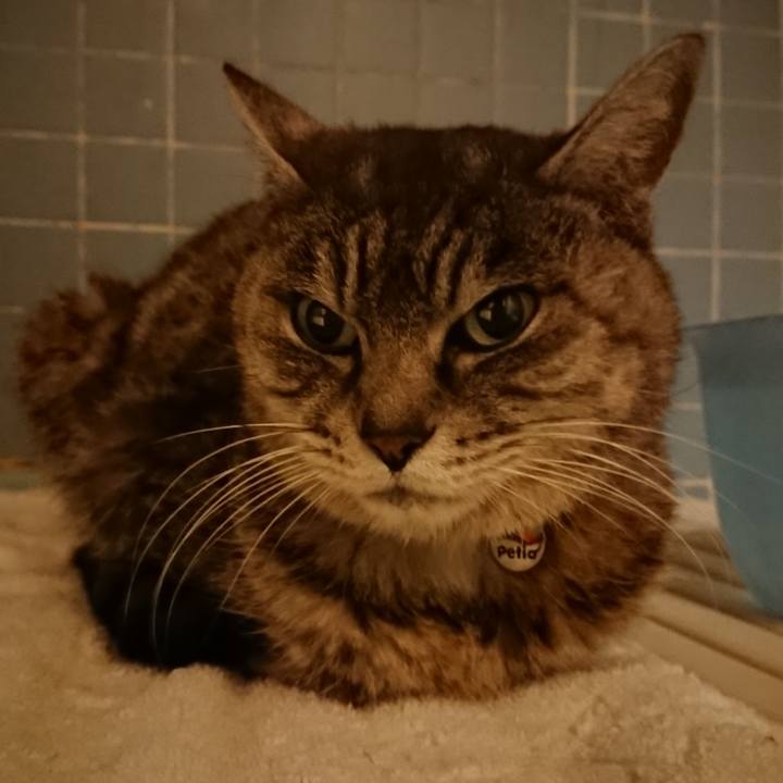 81455513 6cdf 4d61 a166 c1ac093e0b87 1580117358047