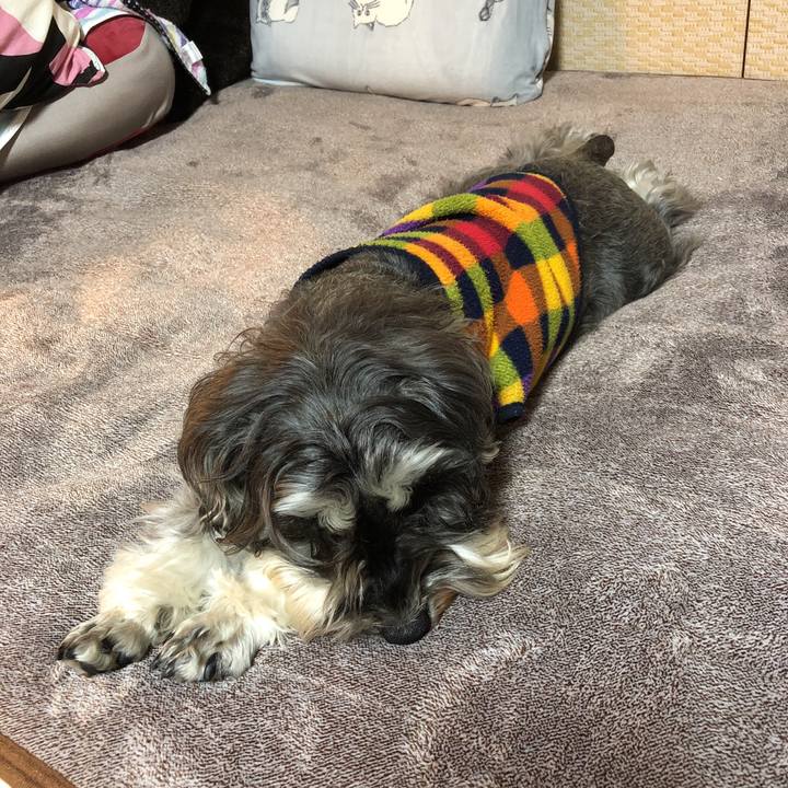 814567a9 bbca 465d af2c b2372b954211 1553604253851