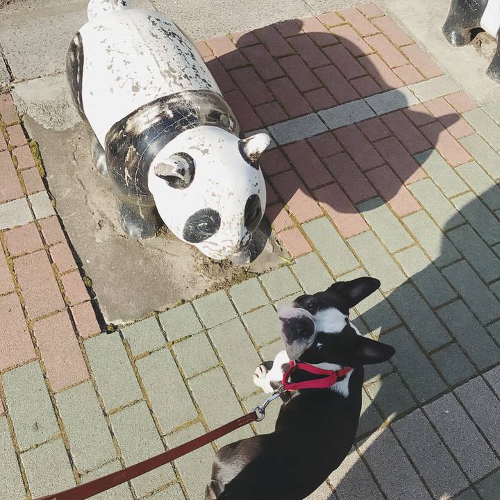 8145caf6 f107 4b51 9d46 389df338a943 1521245935304