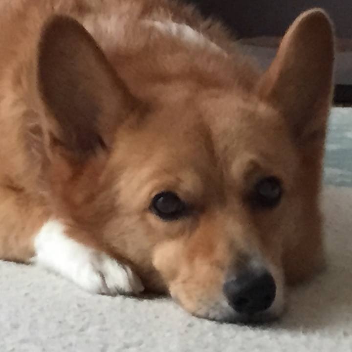 8145d086 e6a7 4ac4 bd1f 9f628c28cec4 1508129666805