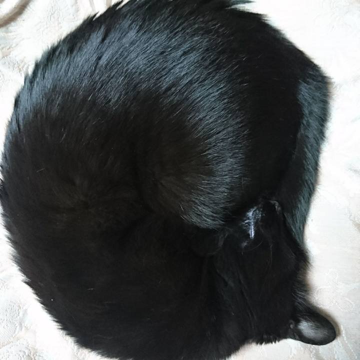 8145f2e7 7ee2 4313 b272 14396bc6e6c4 1546160063705