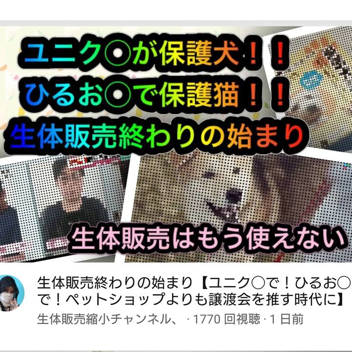 8145fd28 2f30 4c8e 9741 614b87c6ba7b 1616854247897