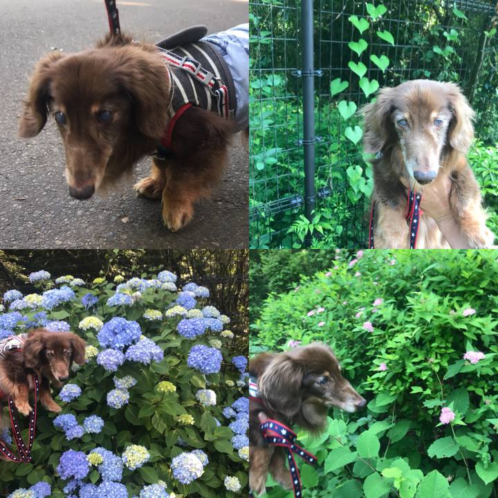 81462f83 bfdf 4d8c b65f 41b906c50dcc 1527508956642