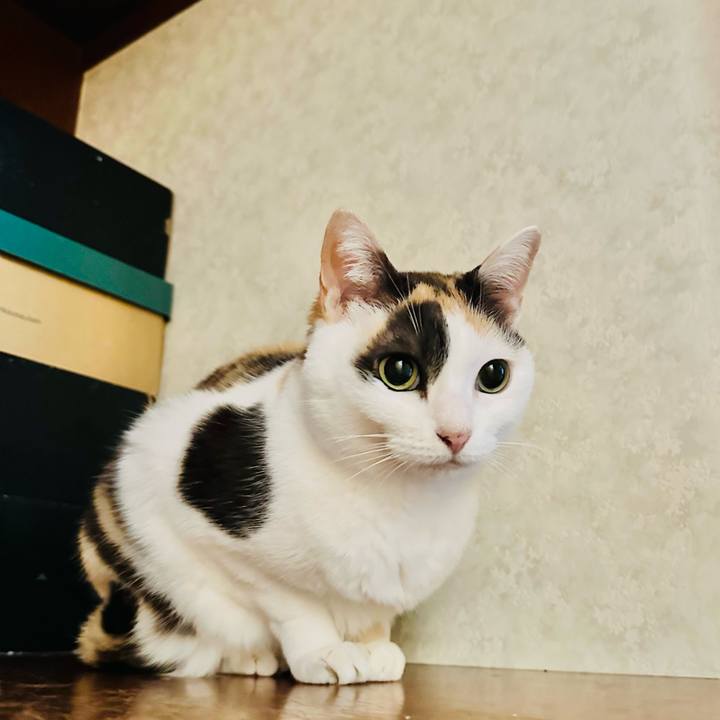 81463b56 df05 431b b254 bb99555b338b 1684463320350