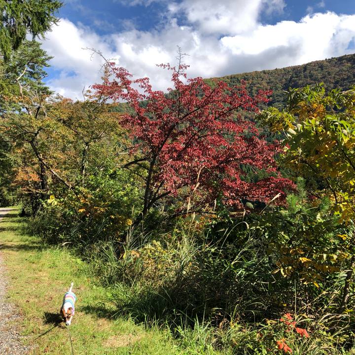 81465d74 fe6f 4ae7 b165 ad4a184e3654 1571814652755