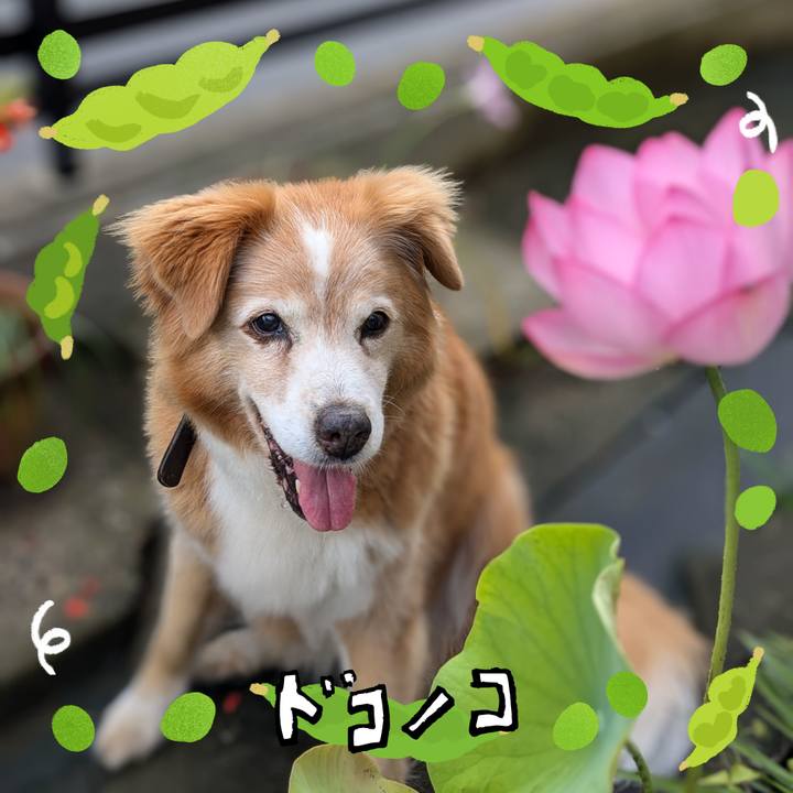 81467aa3 69c8 40ae bd70 e011ea4faaf5 1721349977759
