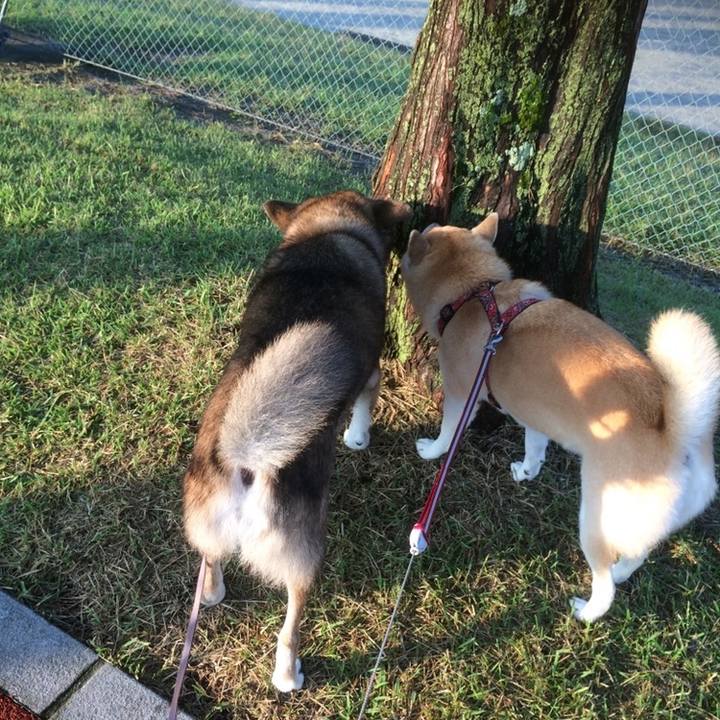 81469bbd 3dec 424b b2b1 b18982a8ba68 1604419597503