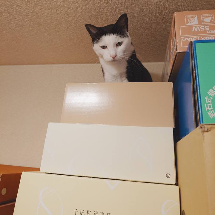 8146a889 1a70 4526 a6e4 6b932d2fffa9 1731762891046