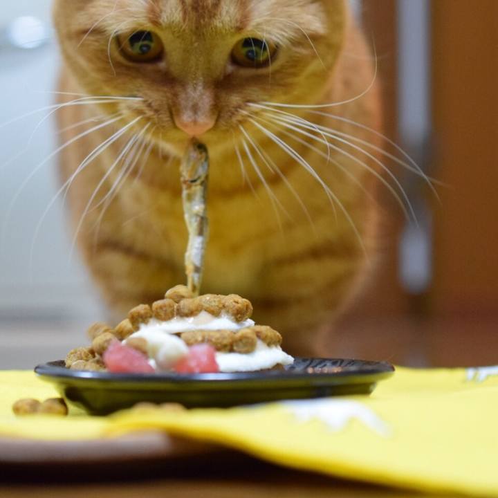 8146ea28 95db 4c0a 9c8c 0a6f4329f437 1524482636940