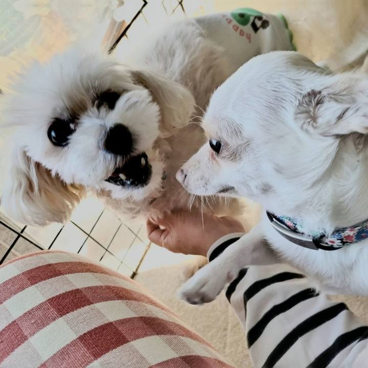 8147059d 1721 4373 a3d7 ade67b9fea2d 1728776974293