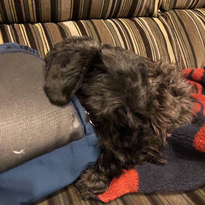 81473b81 ad98 4669 b045 c4c40a131a65 1547124922648