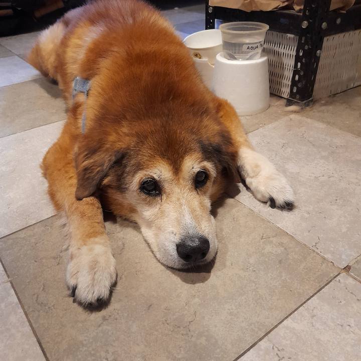 81476bb8 abe5 43ef b389 f962760f394c 1773595897708